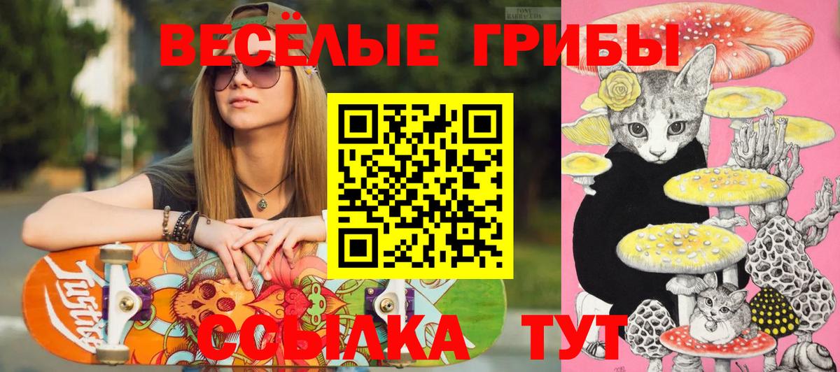 Псилоцибиновые грибы Psilocybe  Вход с VPN  Благовещенск 